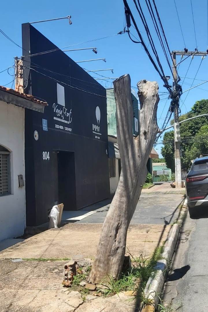Tronco de árvore oferece risco.