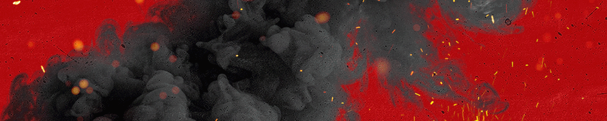 _govmt_mt_e_tolerancia_zero_nos_crimes_ambientais_banner_1250x250